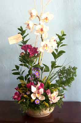 arreglo de orquideas