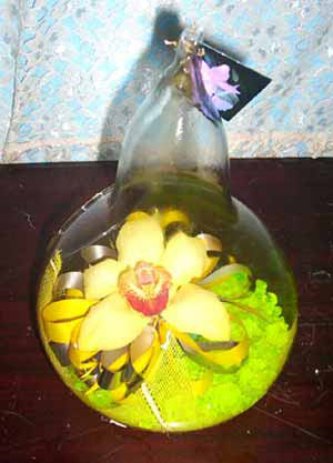 orquidea por floreria merida yucatan