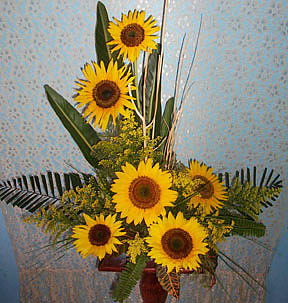 girasoles por floreria merida