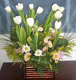 tulipanes por floreria merida yucatan