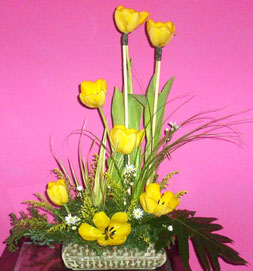 tulipanes por floreria merida yucatan