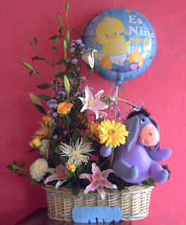 maternidad