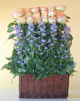 rosas
