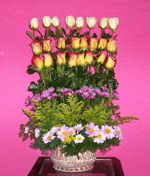 rosas