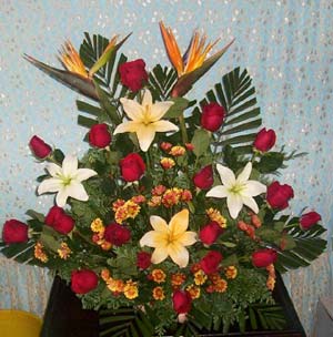 rosas