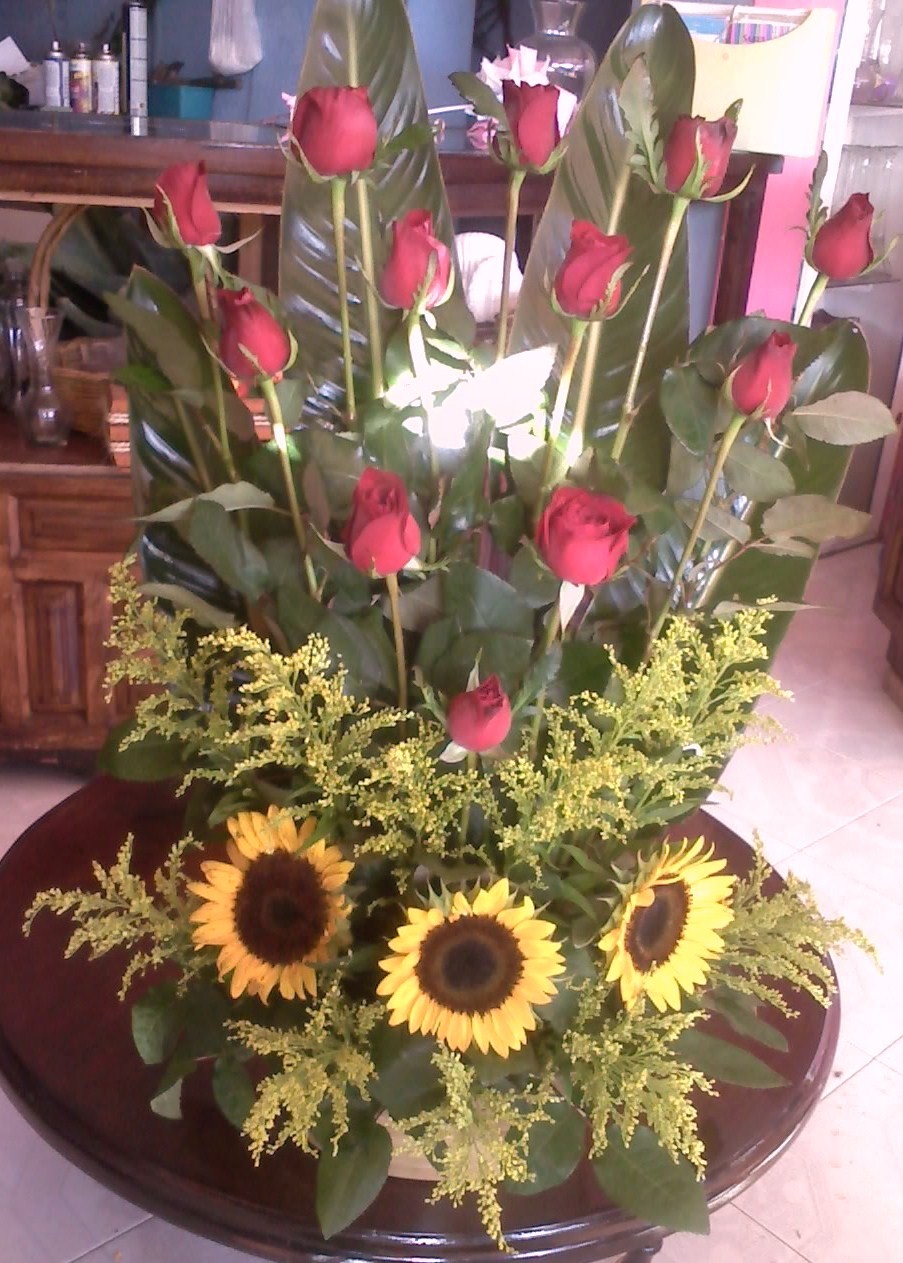 rosas