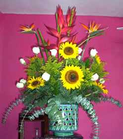 rosas por floreria merida yucatan