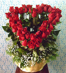 rosas