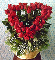 rosas
