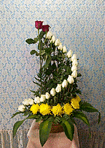 rosas