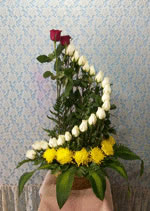 rosas