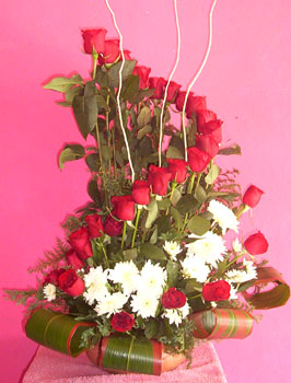 rosas