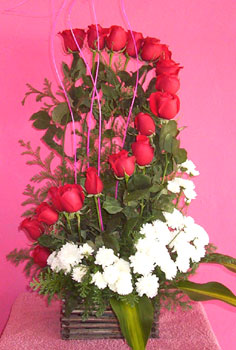 rosas