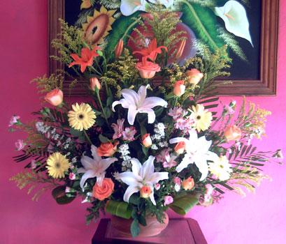 rosas